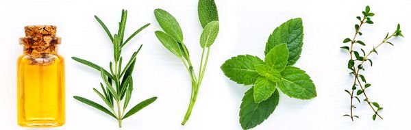 Best essential oil for foot massage
