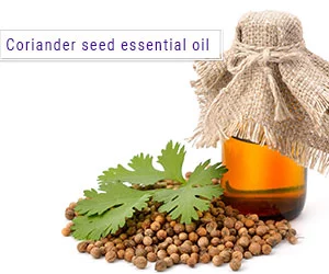 Coriander essential oil for foot massage