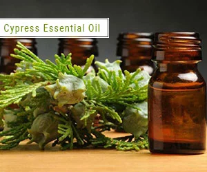 Cypress essential oil for foot massage