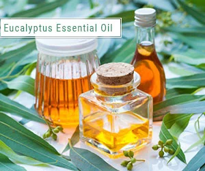 Eucalyptus essential oil for foot massage